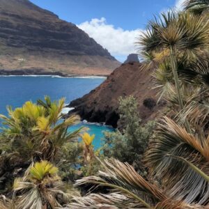Tickets Excursiones Charter Privado o Parques